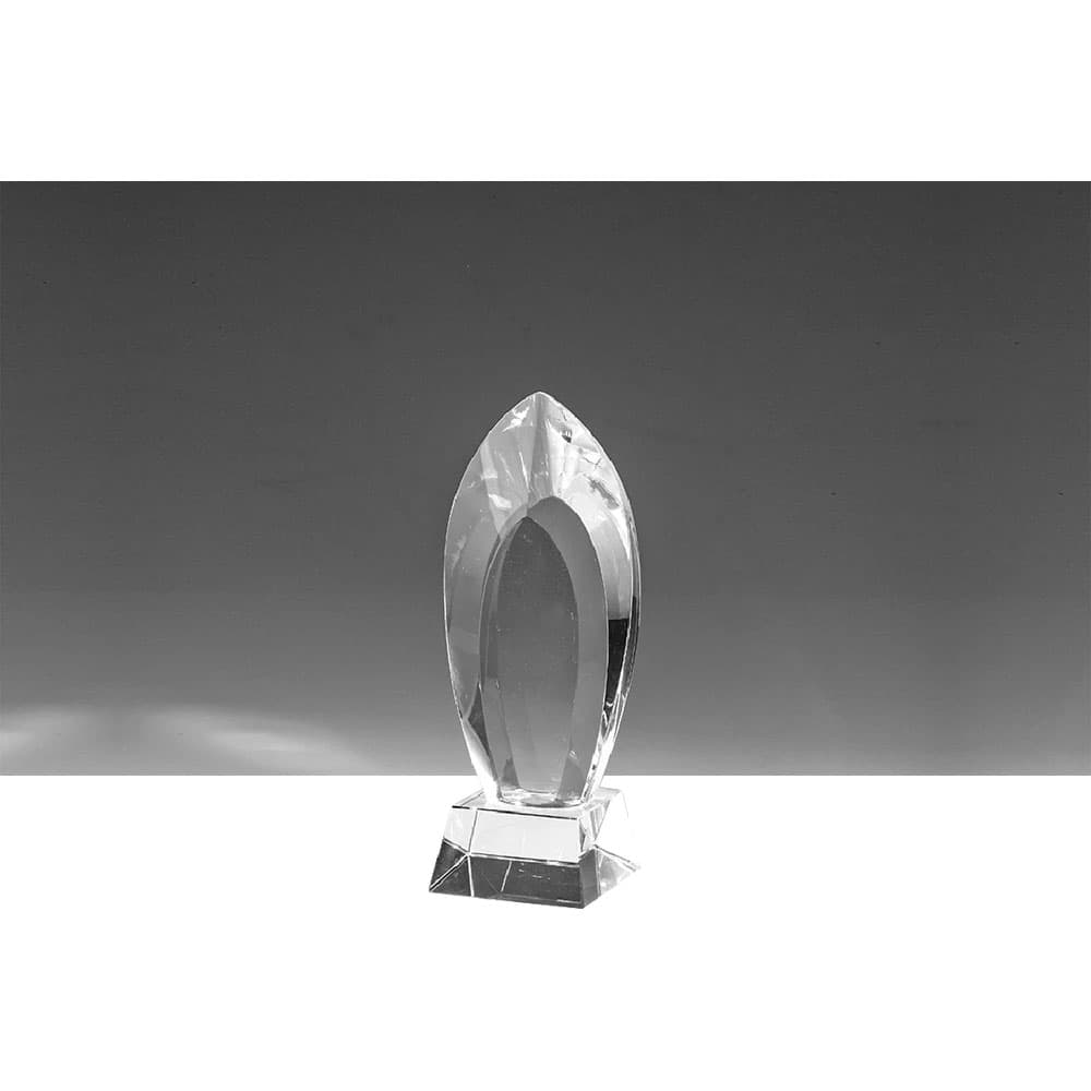 HC-1 Crystal Award