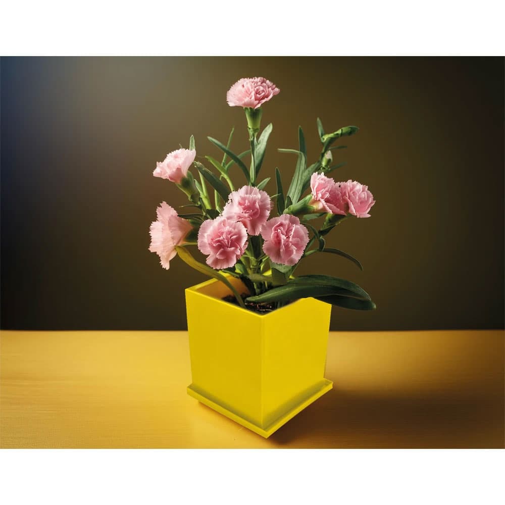 CK-2035 Planting Set with Cover